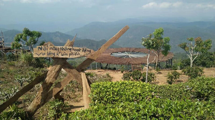 Săn mây Đà Lạt thành trend, dòng người check-in Thảm gỗ Cầu Đất đông như ‘trẩy hội’