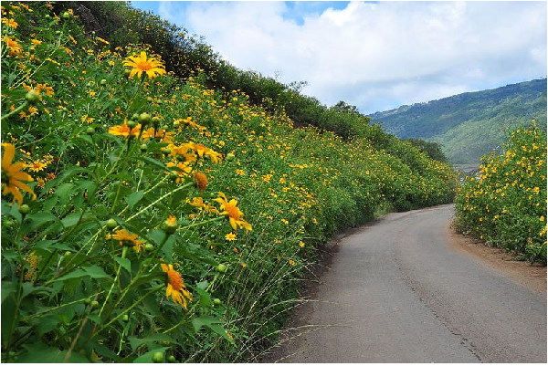 Preparing for the winter in the city of Dalat