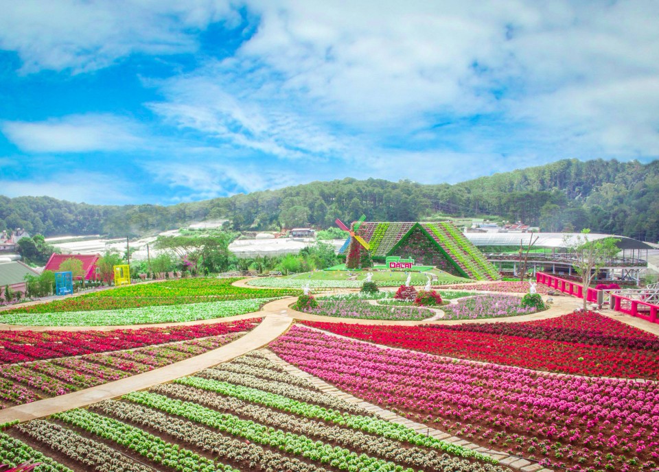 The 8th Dalat Flower Festival - 2019 has many new interesting things