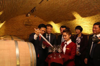 Discover a European standard wine in Dalat