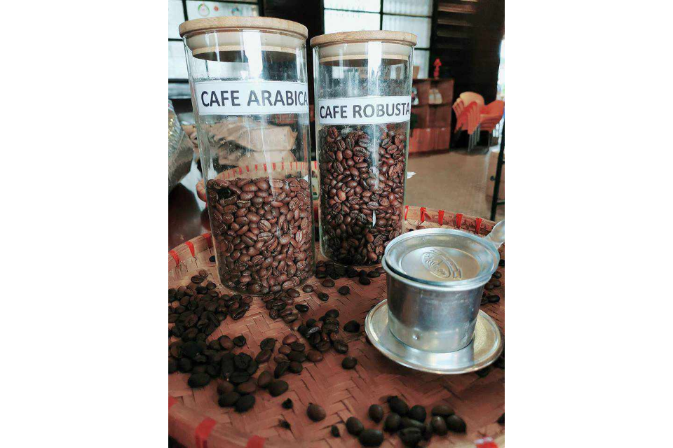 Cafe Arabica, Cafe Robust