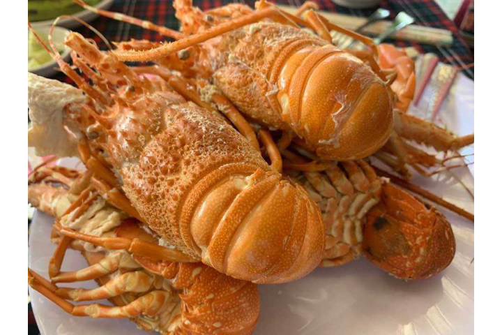  Steamed Lobster