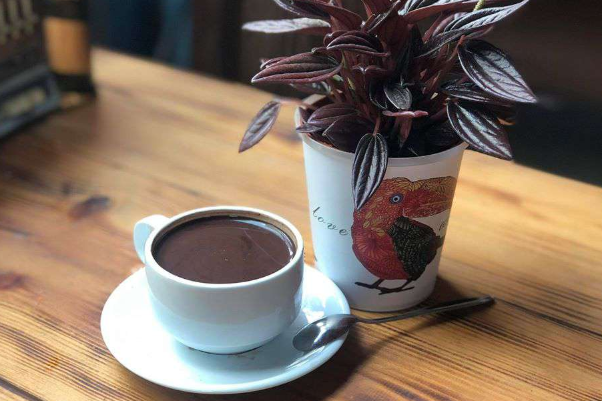 Cacao Nóng