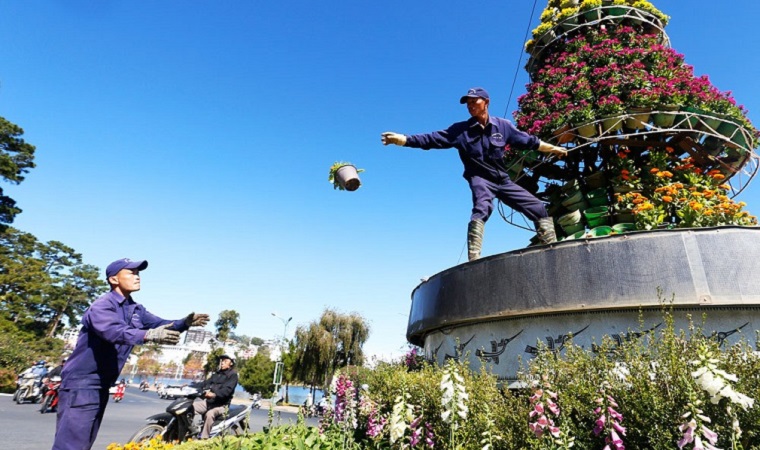 New look for the flower street in Dalat before the festival