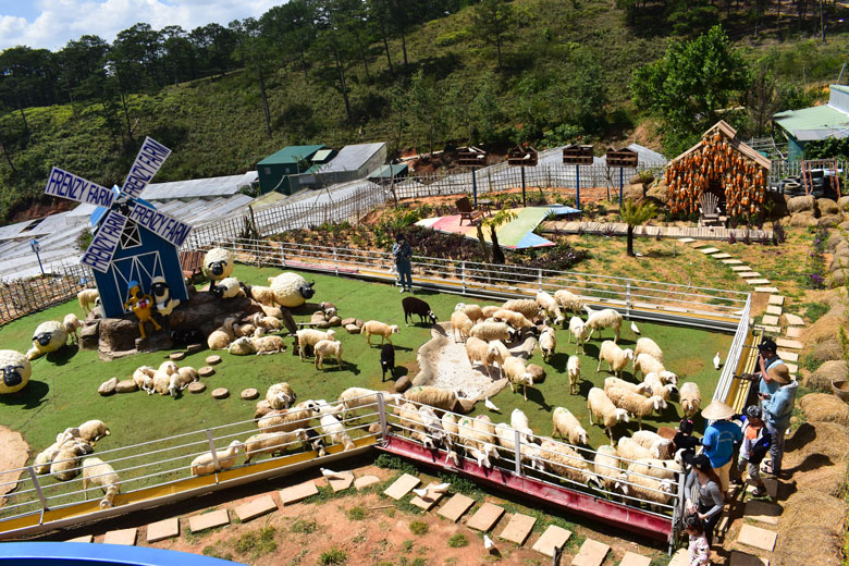 Frenzy Farm với đàn cừu ''2 trong 1''