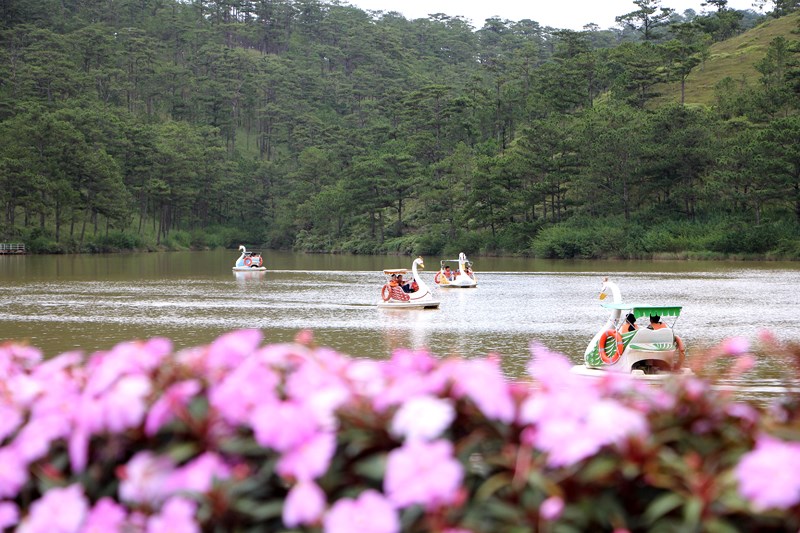 Places will interest you when travel Dalat at Tet holiday