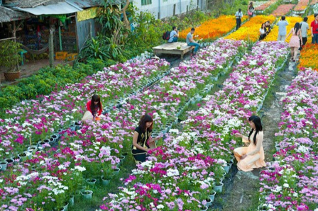 Agricultural tourism 'Mesmerized' tourists